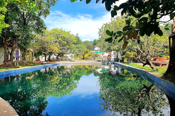 Outdoor pool, pool umbrellas, sun loungers