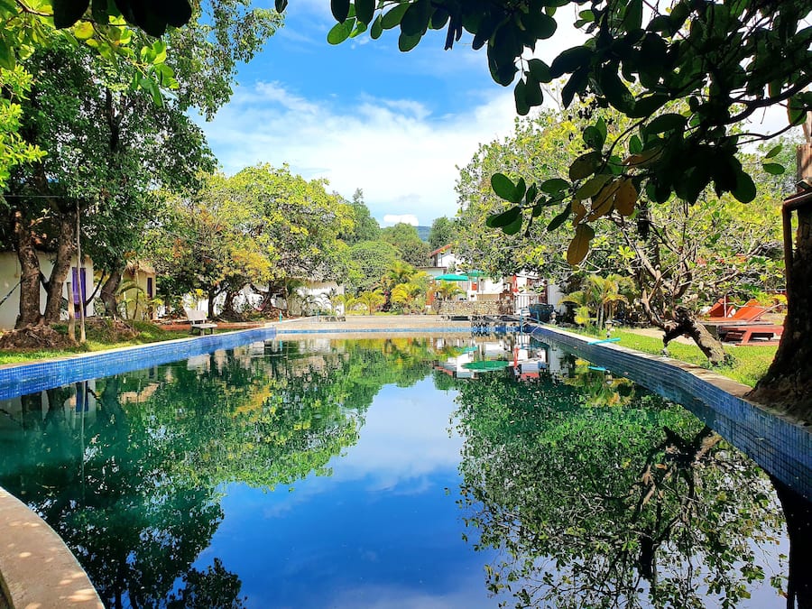 室外游泳池,池畔遮阳伞,日光浴躺椅