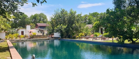 Outdoor pool, pool umbrellas, pool loungers
