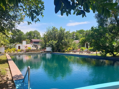 Outdoor pool, pool umbrellas, sun loungers