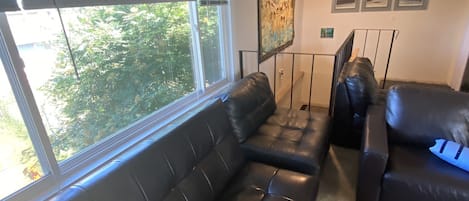 Smart TV, DVD player, video library