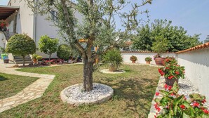 Une cour avec un arbre, des plantes en pot et un chemin pavé de pierres.
