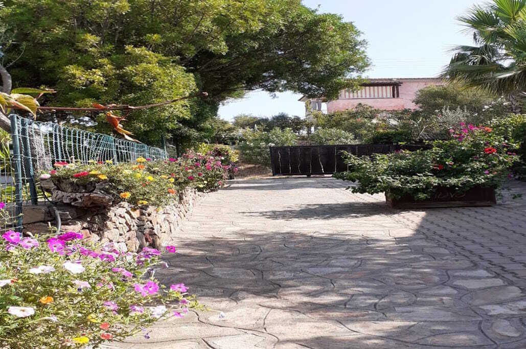 Ein gepflasterter Weg führt durch einen Garten mit verschiedenen Pflanzen und Blumen.