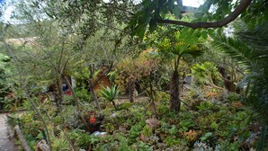 Un exuberante jardín con diversas plantas y una estructura de madera.