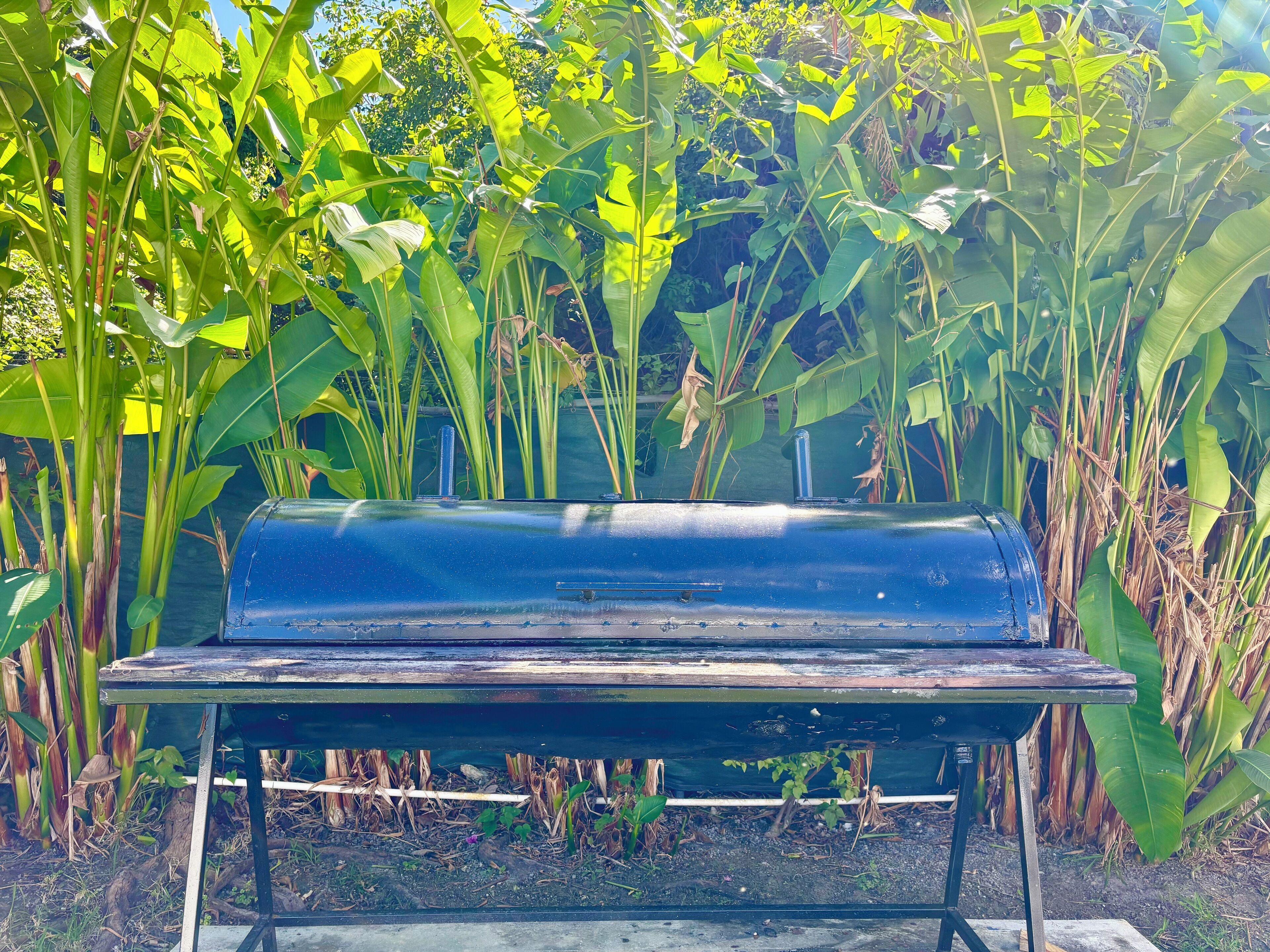 Un barbecue noir avec une table en métal, situé dans un jardin où poussent de grandes plantes vertes.