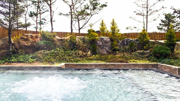 Une piscine à l’eau claire, entourée d’une clôture en bois et de différents arbres.