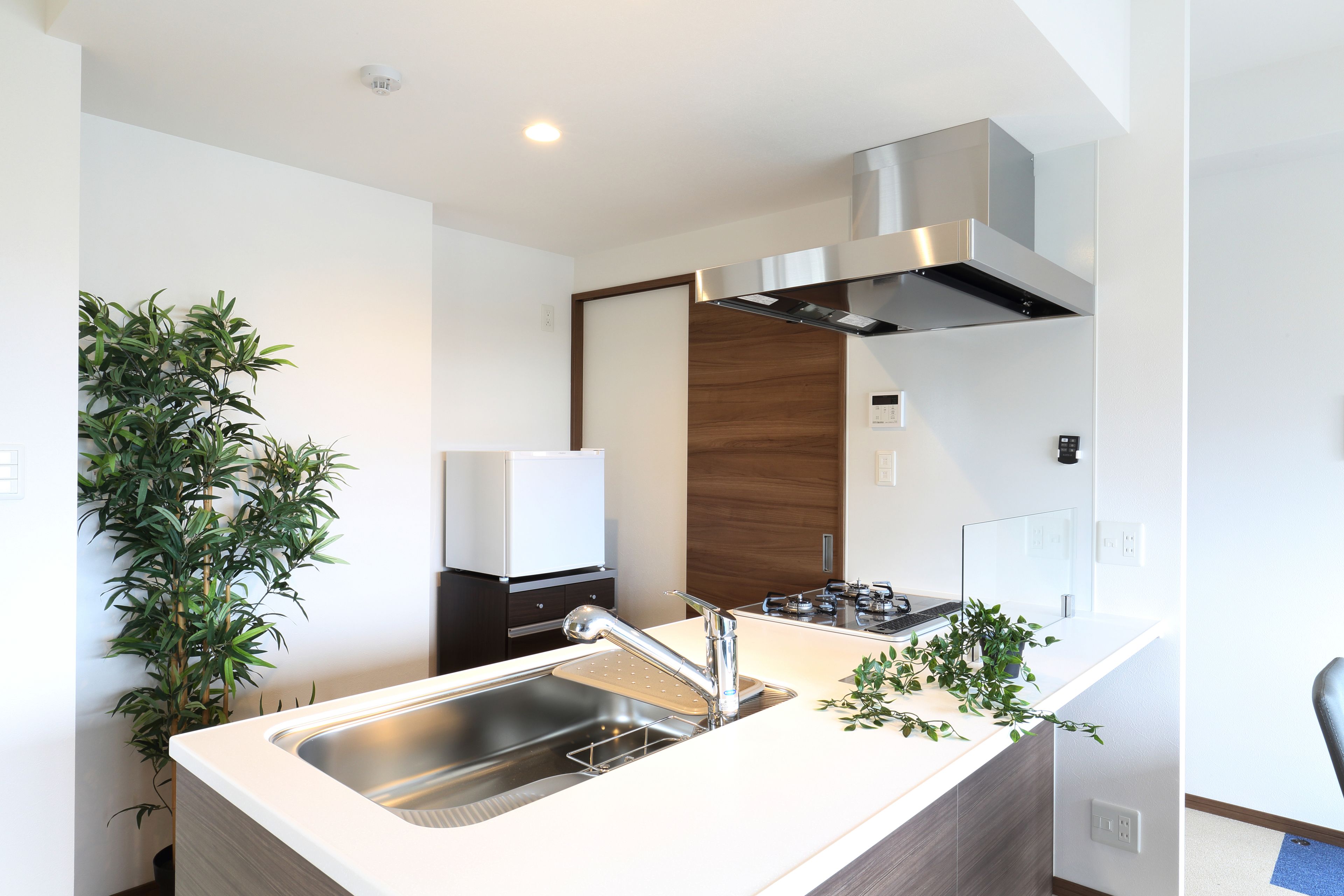 fridge, electric kettle