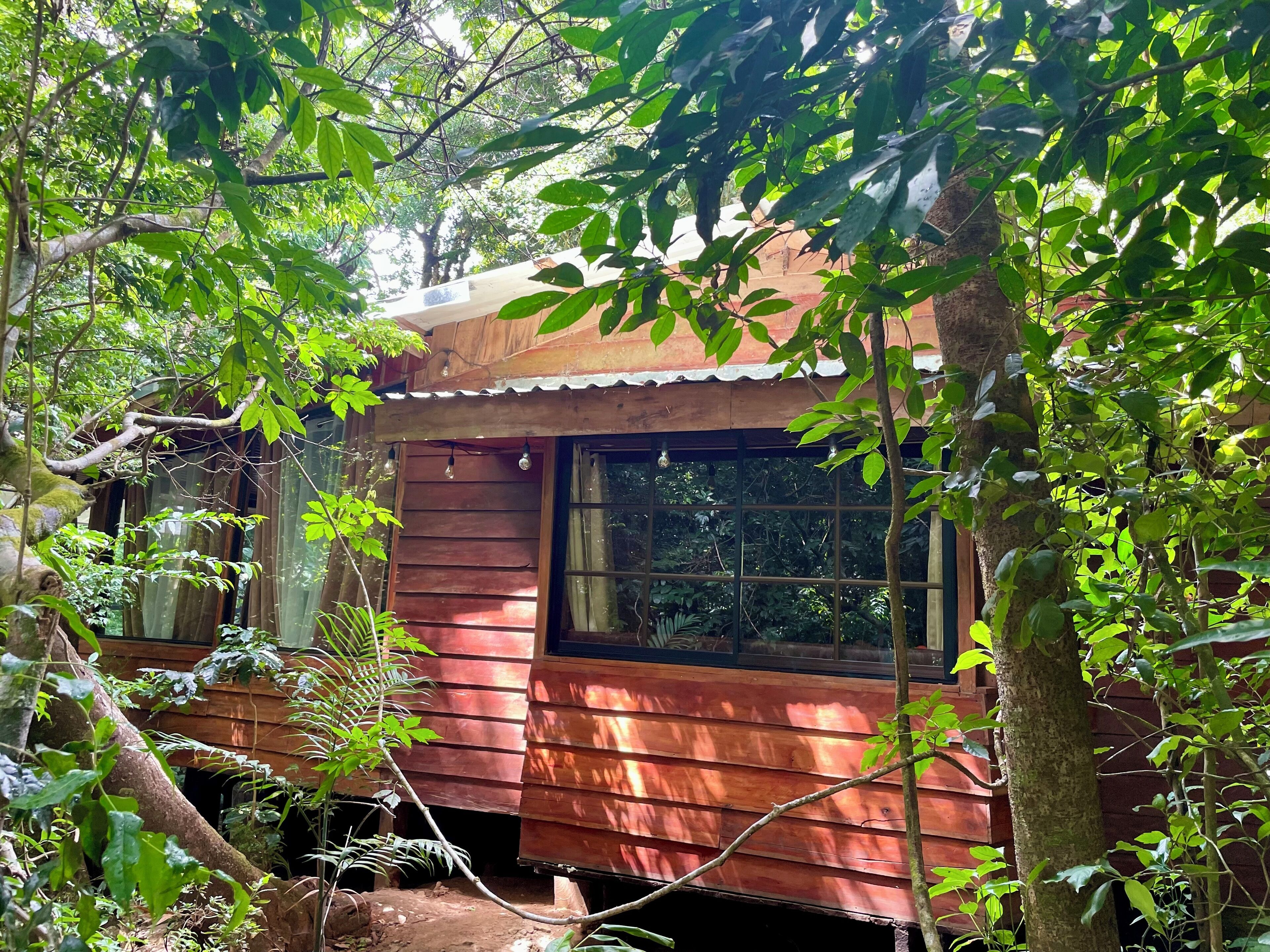 A rustic wooden cabin surrounded by dense foliage.