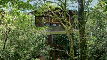 Panoramic-Baumhaus, Gartenblick