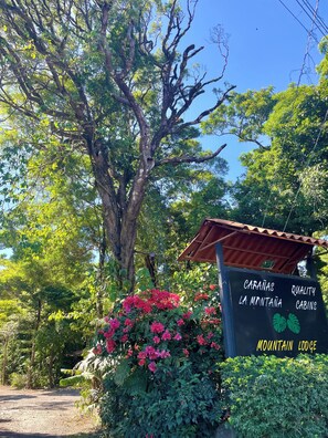 Lối vào nơi lưu trú