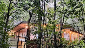 A rustic cabin surrounded by dense forest, with string lights illuminating the area. - Cabañas La Montaña (Monteverde)