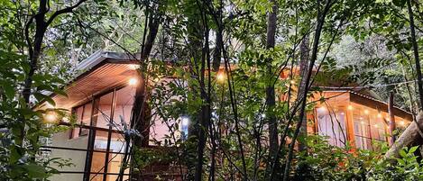 A rustic cabin surrounded by dense forest, with string lights illuminating the area.