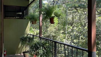 Un balcón cubierto con plantas en macetas, un extintor y vistas de abundante follaje.