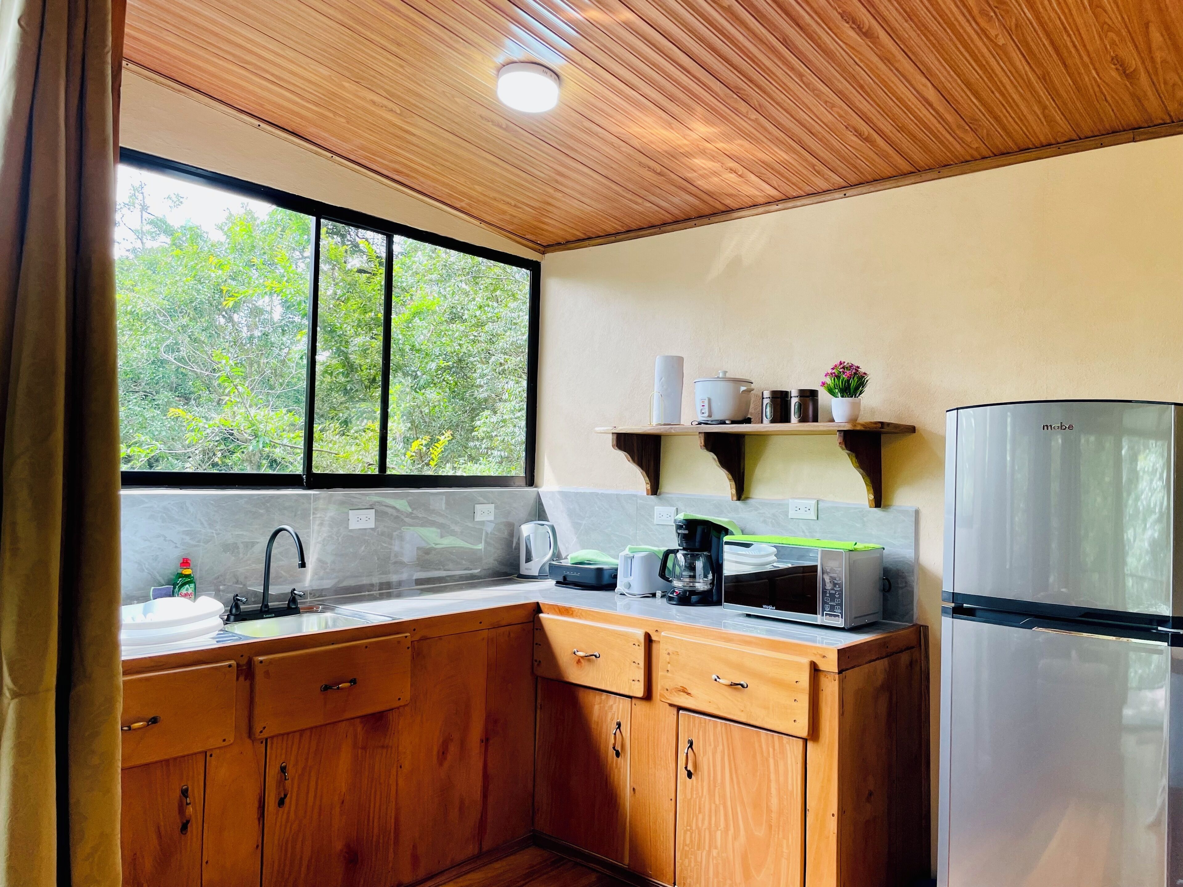 A kitchen with wooden cabinets, a stainless steel refrigerator, a microwave, and a window with a view of greenery.