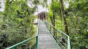 A metal bridge with railings in a forested area. - Cabañas La Montaña (Monteverde)
