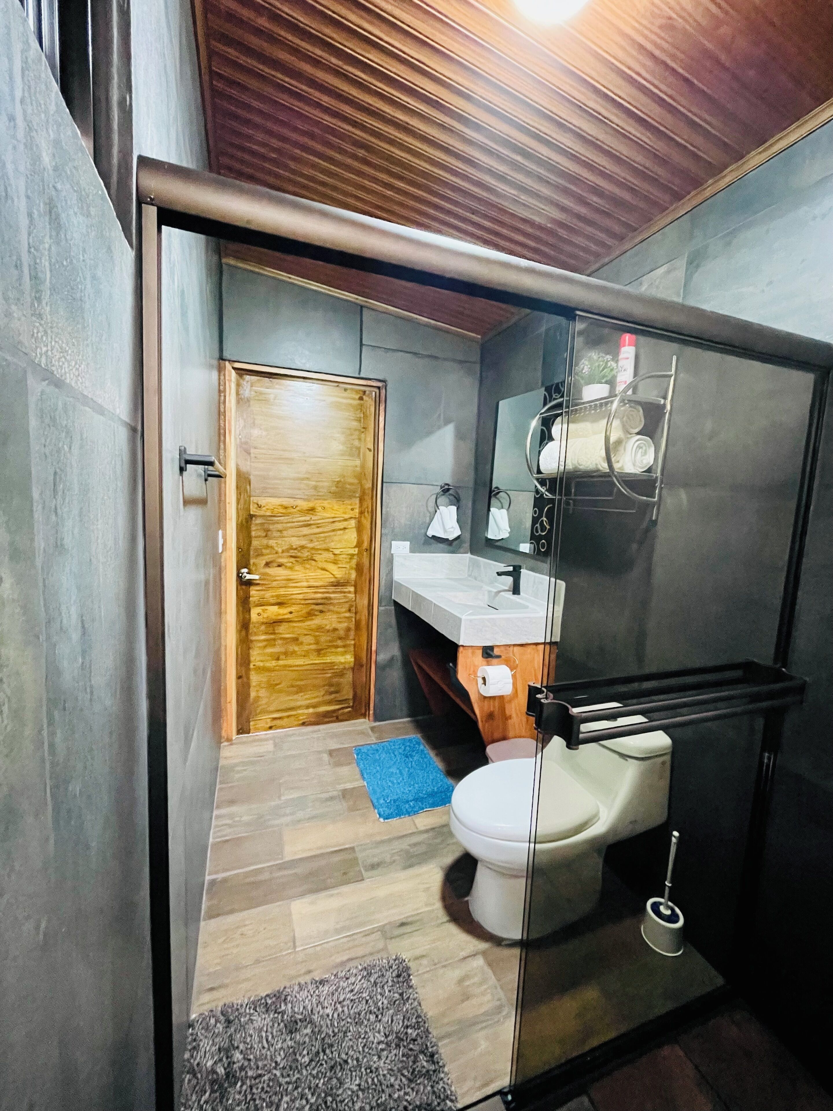 Un bagno compatto con porta in legno, un water, un lavabo e un box doccia in vetro.