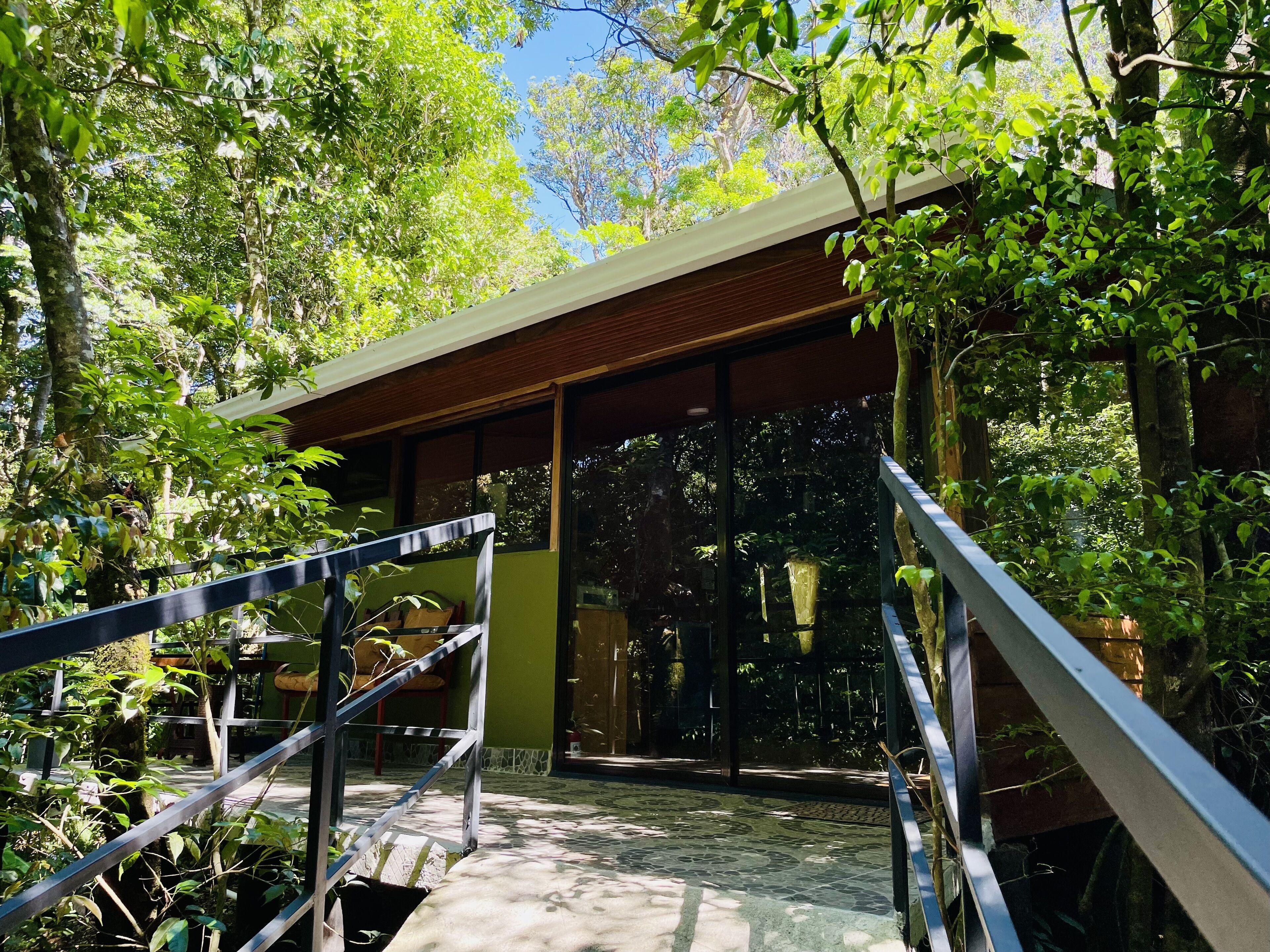 A modern building with a glass facade, surrounded by lush greenery.