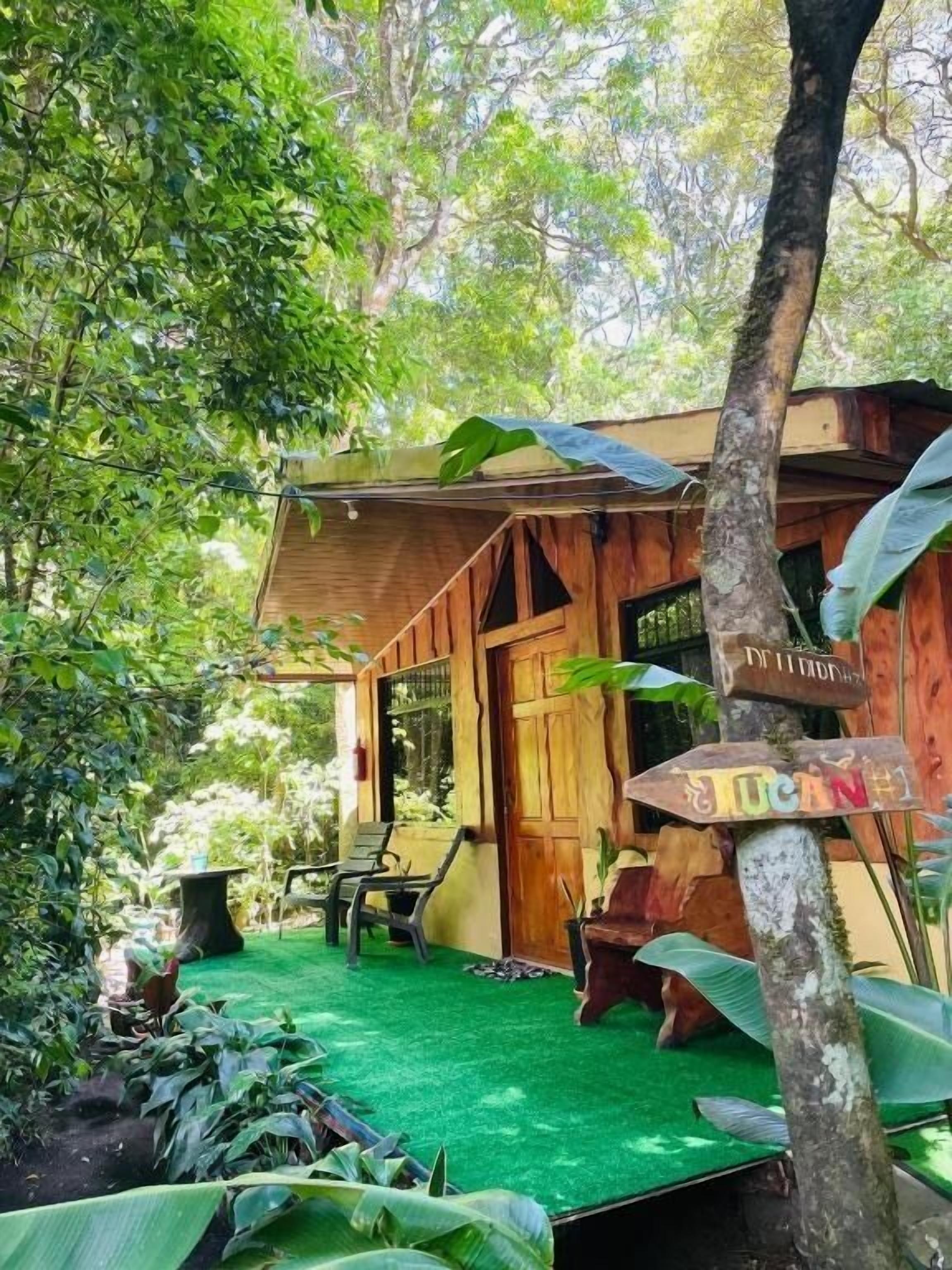 Una cabaña de madera con un patio de césped artificial verde, rodeada de vegetación exuberante.