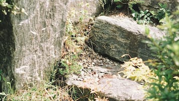 Exterieur