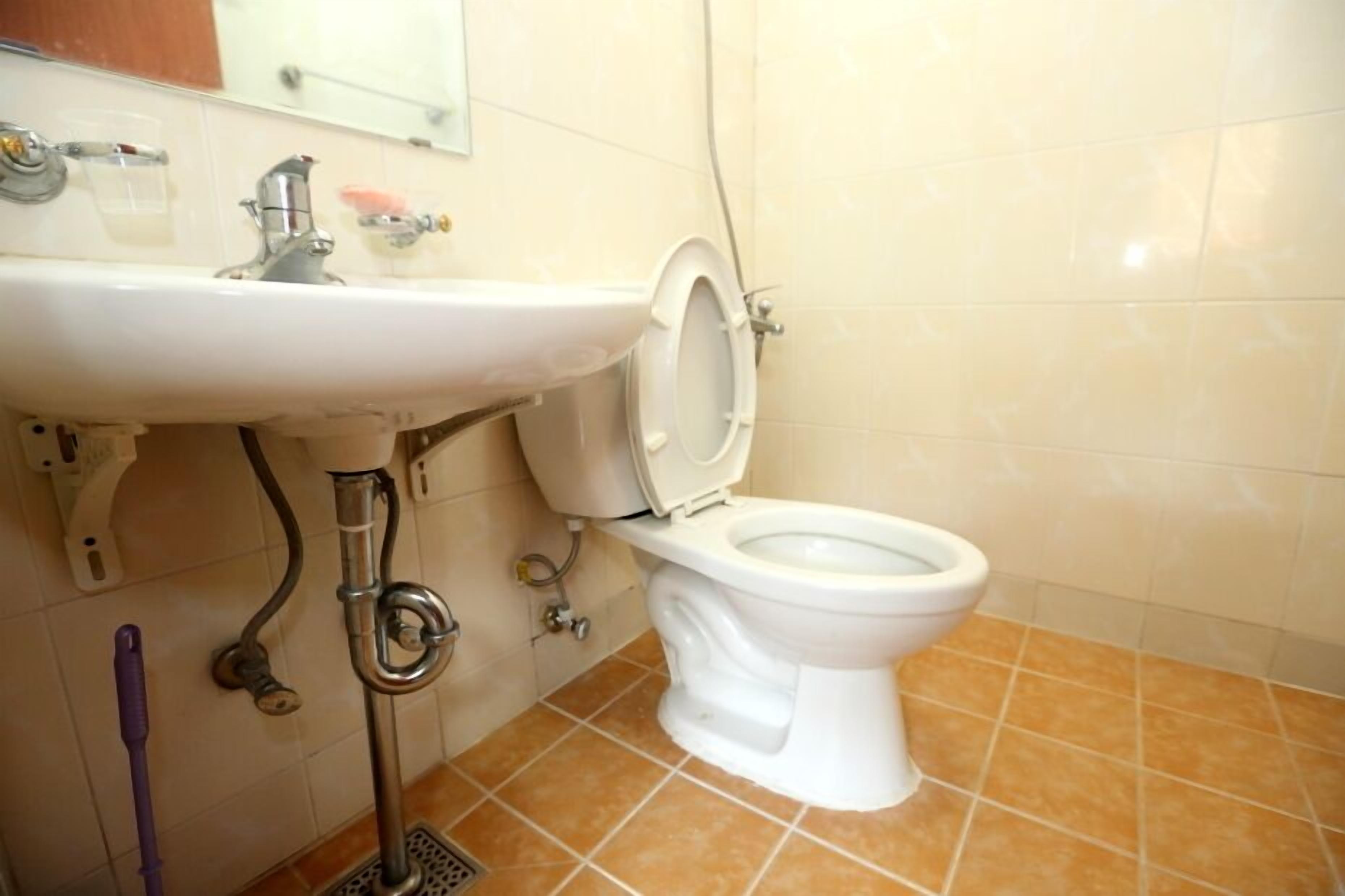 A bathroom with a white sink, a toilet, and a shower.