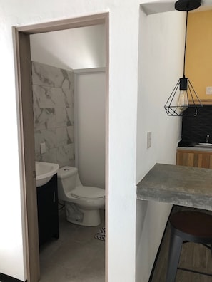 Hair dryer, towels, shampoo, toilet paper