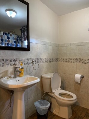 Secadora de cabello, toallas, papel de baño 