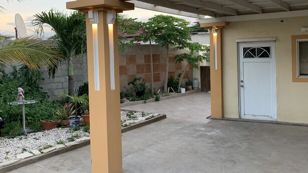 Un espace extérieur abrité, doté d’un sol en béton, de palmiers et de plantes en pot.