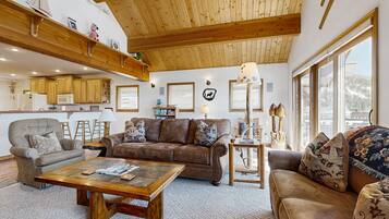 TV, fireplace, DVD player, books