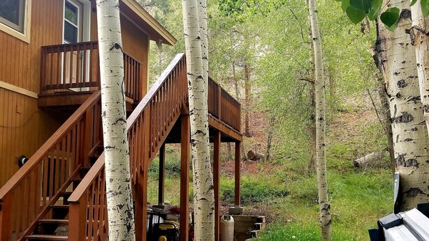 A hot tub with a wooden deck and stairs leading to a wooden house surrounded by birch trees.
