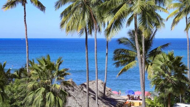 A beach with palm trees and a clear view of the ocean. - Villa Dorado - Villas del Palmar (Sayulita)