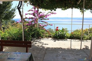 Terras