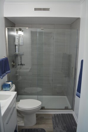 Shower, hair dryer, towels, soap