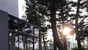 A modern building with large glass windows, a well-maintained lawn, and stone steps leading to the entrance. - Araucaria Residence (Huxi)