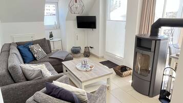 TV, fireplace, video games, DVD player