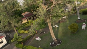 A landscaped garden with a gazebo, a small building, and a tree with a striped trunk. - Rwenzori International Hotel (Kasese)