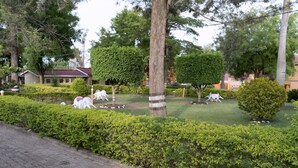 A landscaped garden with neatly trimmed hedges, a variety of trees, and a paved walkway. - Rwenzori International Hotel (Kasese)