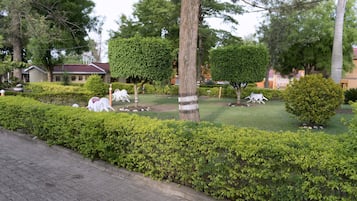 園景