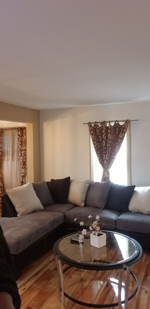 Televisio, pöytätennispöytä