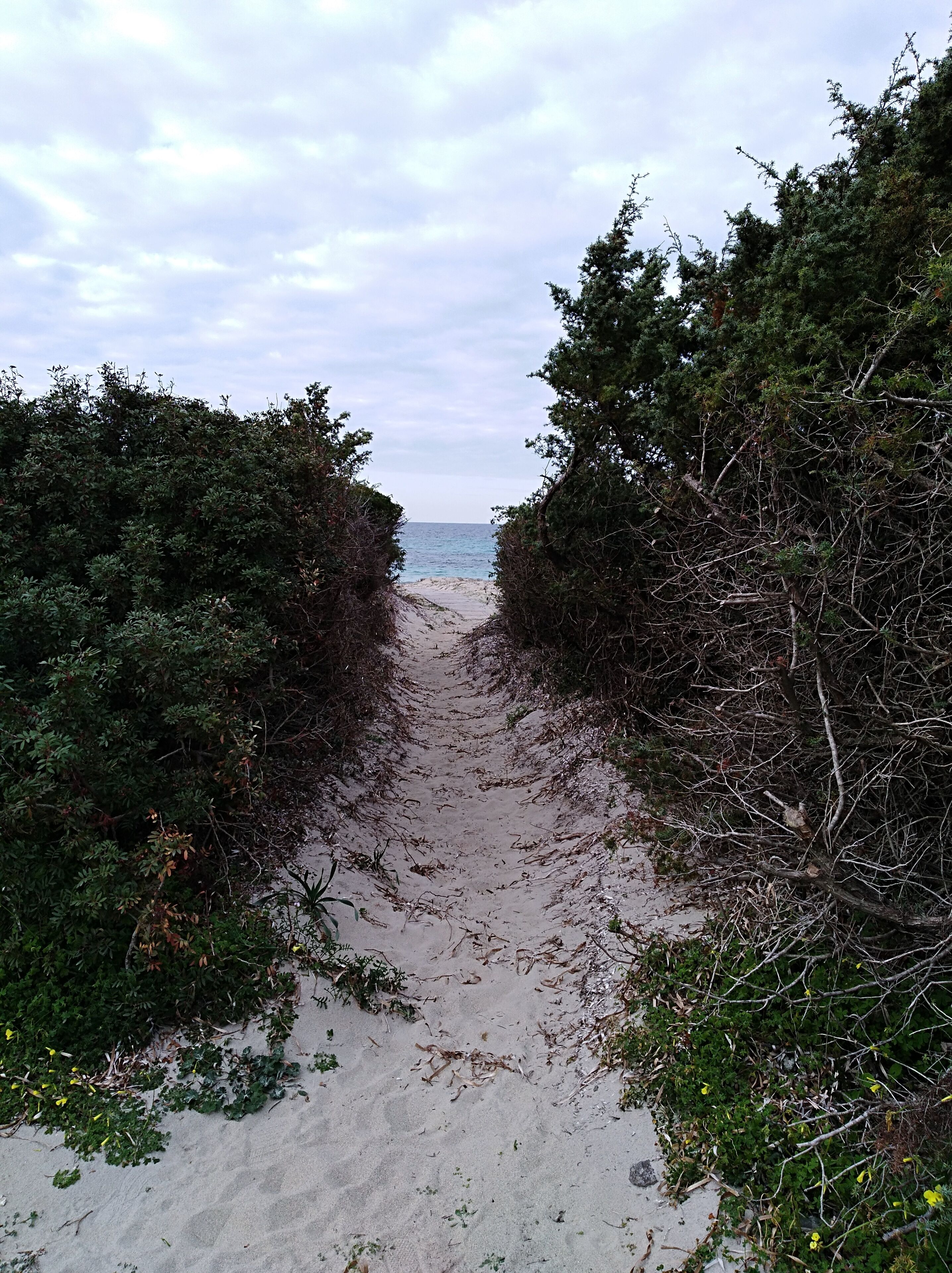 Plage à proximité, chaises longues