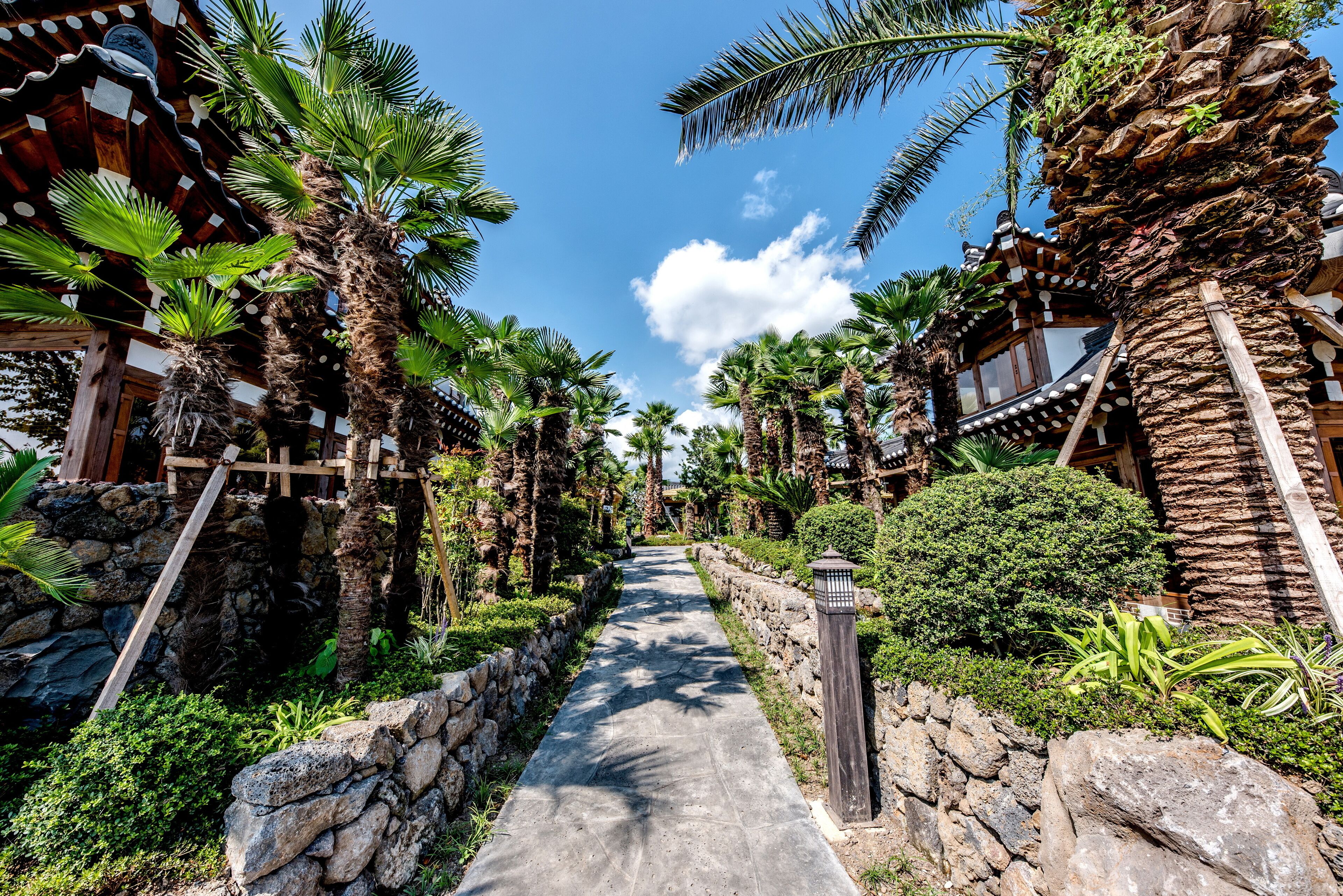 A pathway flanked by palm trees and stone walls, leading to a traditional building with a wooden roof and decorative elements.