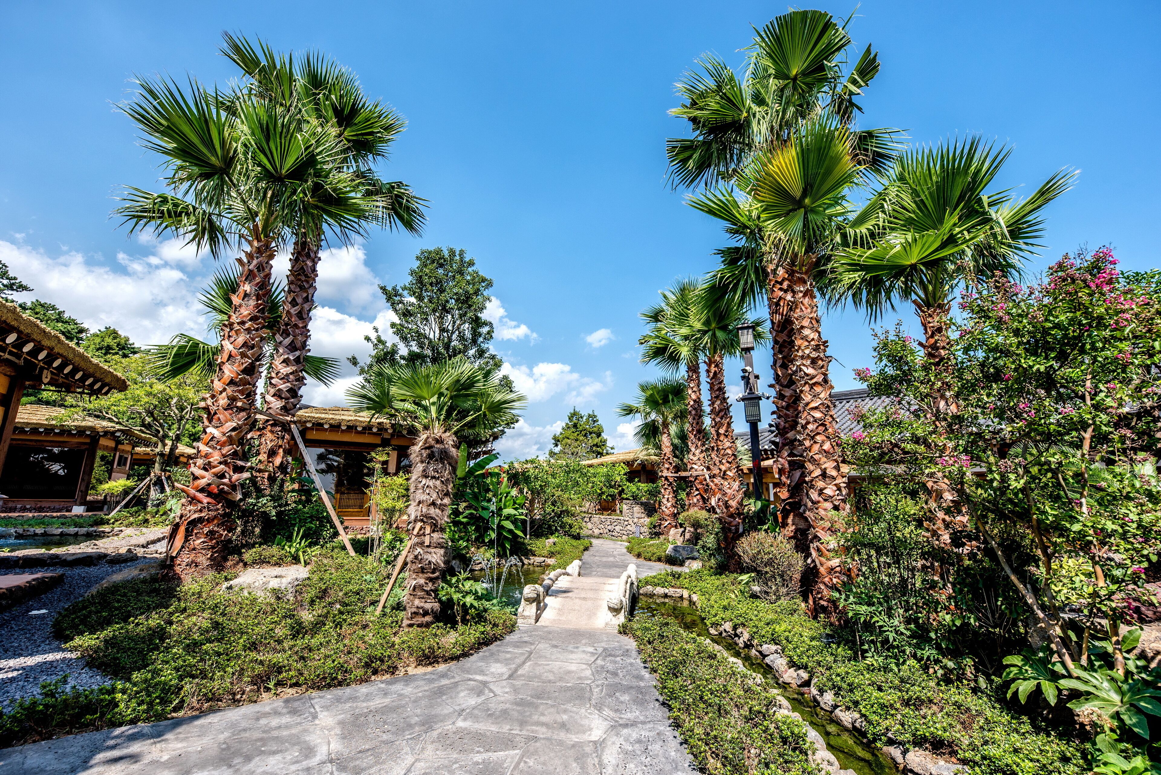 A pathway flanked by tall palm trees leading to a traditional building with a thatched roof.