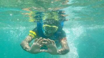 A person underwater, wearing a snorkel mask and fins.
