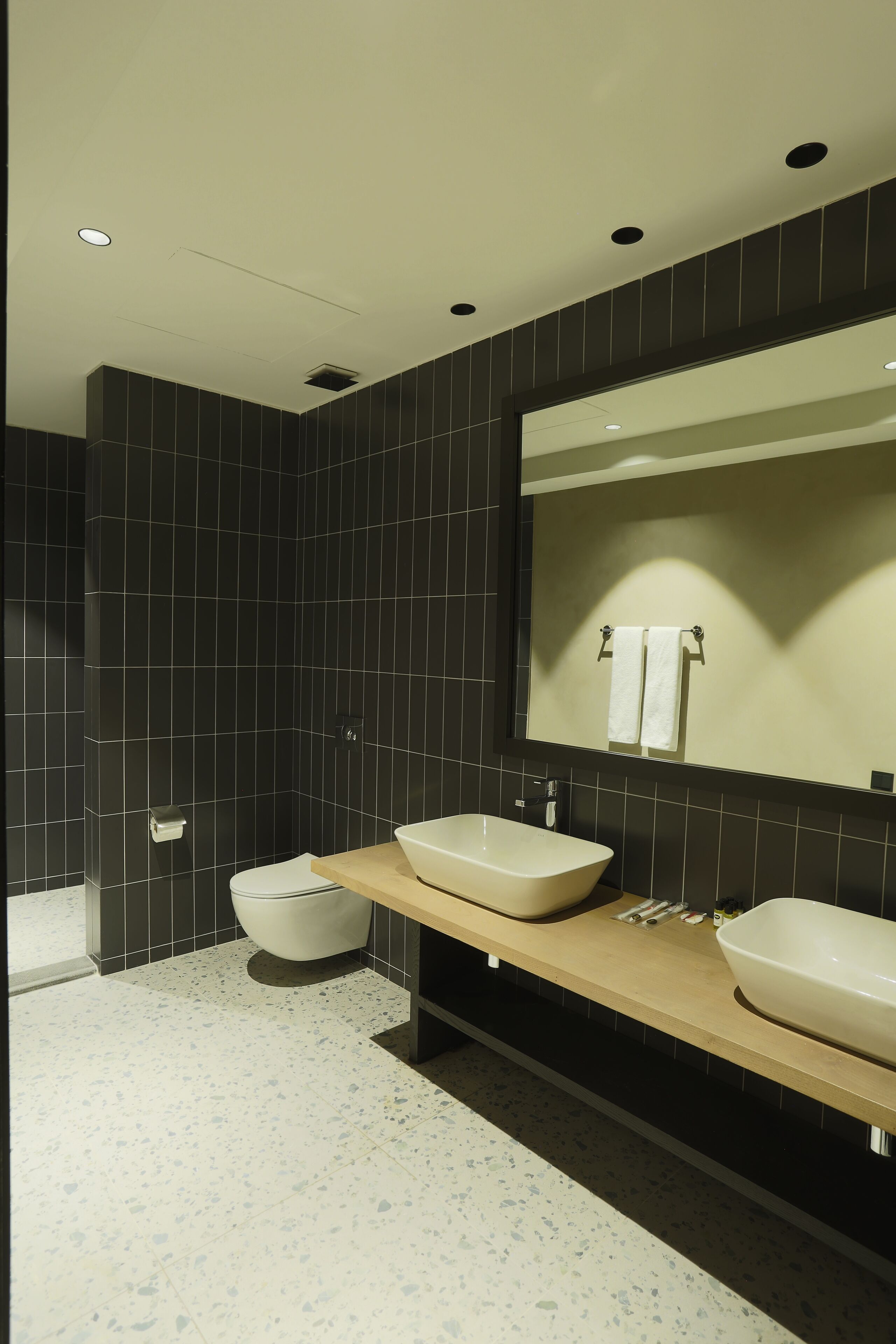 deluxe double or twin room | bathroom | shower, rainfall showerhead, free toiletries, hair dryer