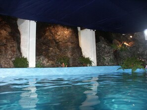 Un área de piscina con agua cristalina, una pared rocosa y plantas en macetas.
