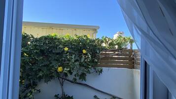 Superior Double Room | Terrace/patio