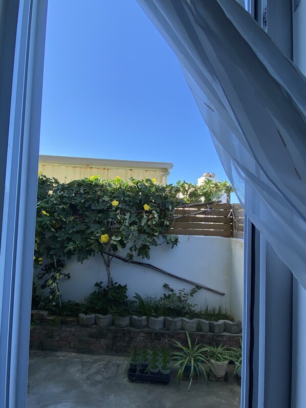 Une vue à travers une fenêtre ornée d’un rideau blanc, sur un mur de briques et une plante aux fleurs jaunes.