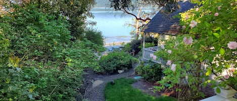 Casa de campo superior, baño privado, vista al océano (Bay Cottage) | Terraza o patio