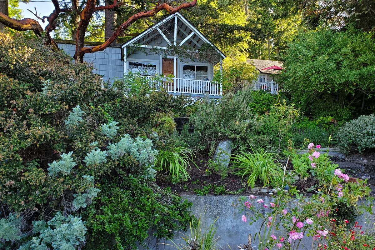 A house surrounded by dense greenery and a variety of plants.