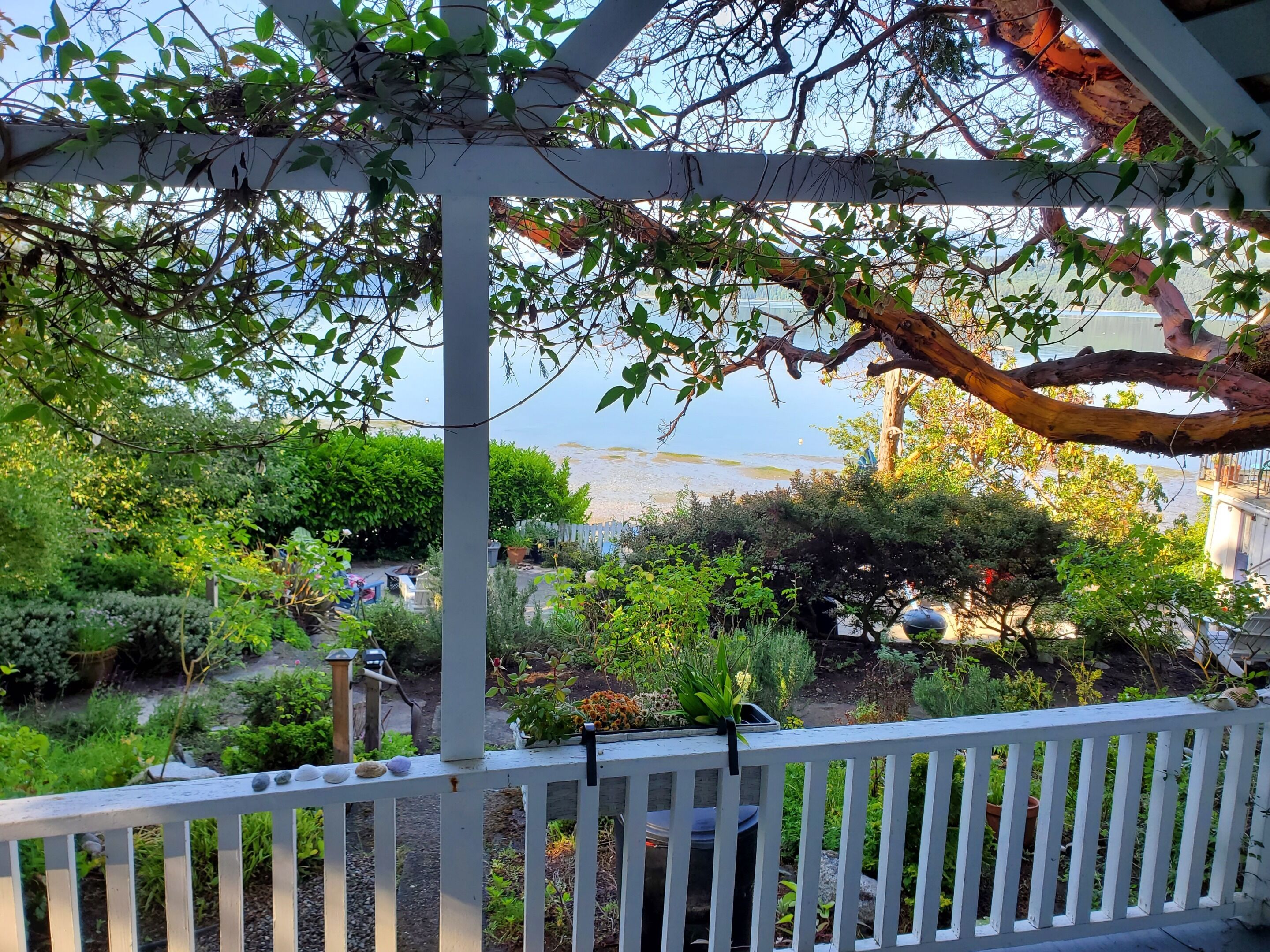 Cottage, Private Bathroom, Ocean View (Jenny's Cottage) | Exterior
