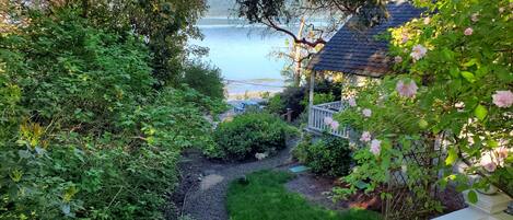 Superior Cottage, Private Bathroom, Ocean View (Bay Cottage) | Terrace/patio